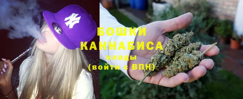 где найти наркотики  Гвардейск  Шишки марихуана SATIVA & INDICA 